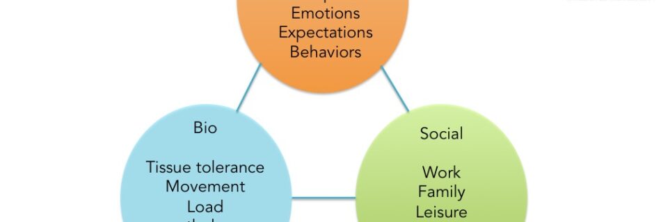 biopsychosocial model